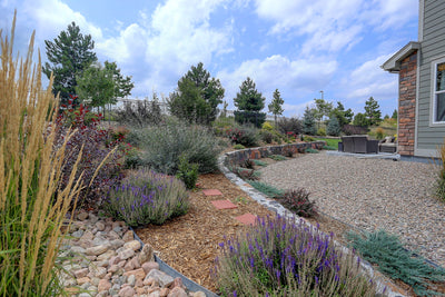 Landscape Edging and Xeriscaping: A Match Made in Heaven