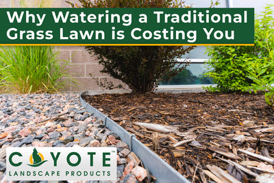 Why Watering a Traditional Grass Lawn is Costing You