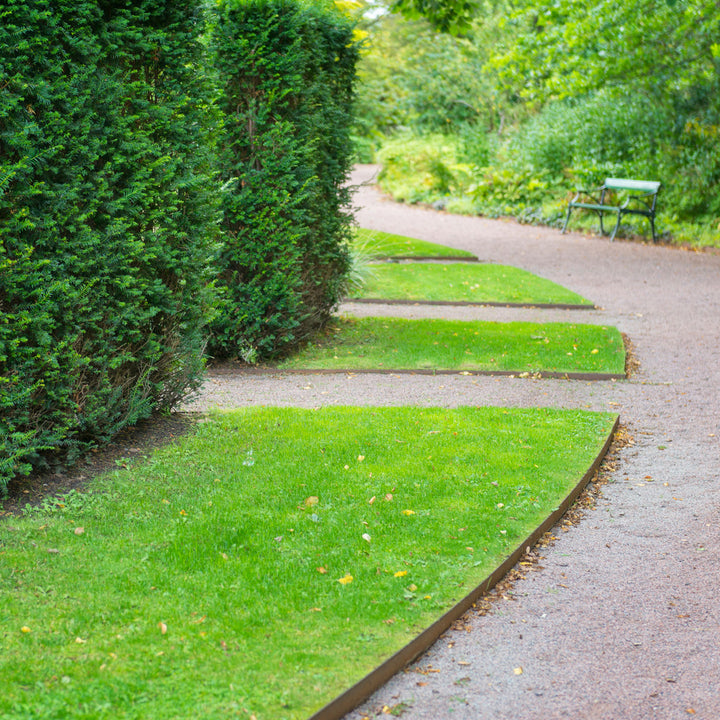 raw-pathway_60d83fb3-e913-41a4